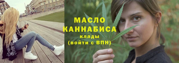 гашик Дмитровск