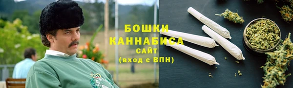 гашик Дмитровск