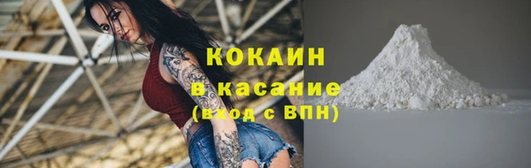 твердый Дмитров