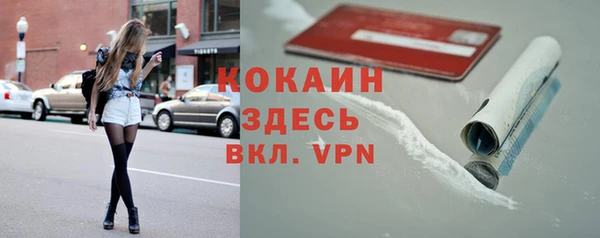 гашик Дмитровск
