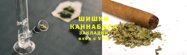спайс Дмитриев