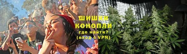 гашик Дмитровск