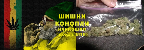 твердый Дмитров