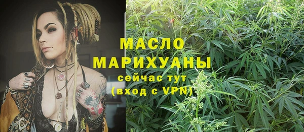 спайс Дмитриев