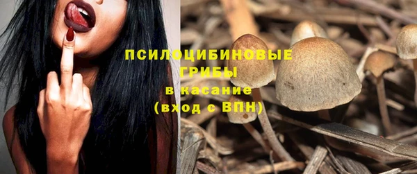 гашик Дмитровск