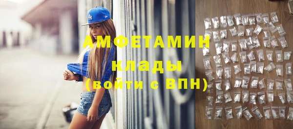 твердый Дмитров