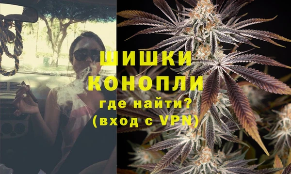 спайс Дмитриев