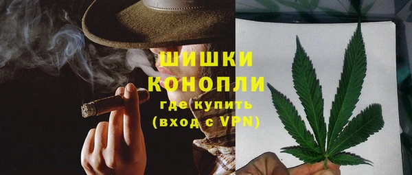 твердый Дмитров