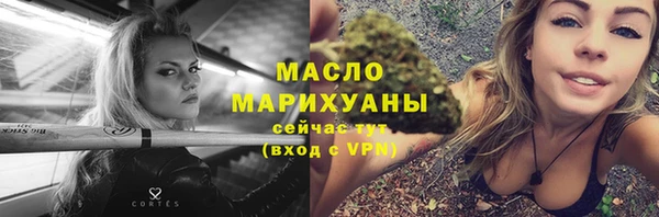 твердый Дмитров